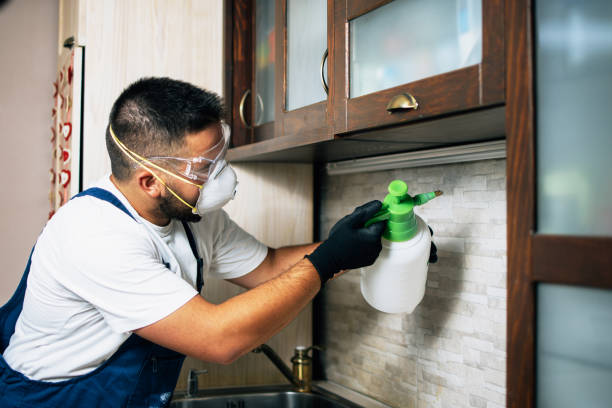 Wildlife Control Services in Hilton, NY