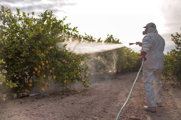 Best Pest Inspection Near Me  in Hilton, NY