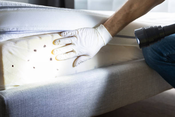 Best Best Pest Control Companies  in Hilton, NY
