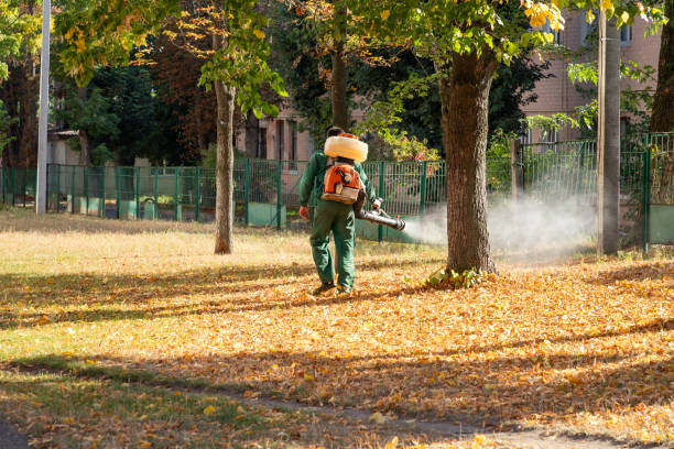 Best Pest Prevention Services  in Hilton, NY