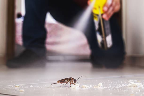 Pest Control Cost in Hilton, NY